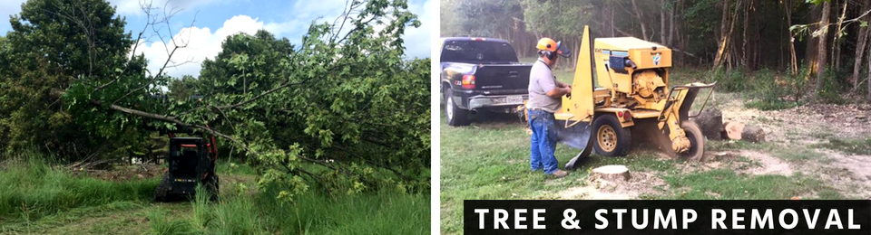 Tree Stump Removal